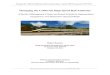 Managing the California High-Speed Rail Authority's Vision and Business Plan_Bazeley