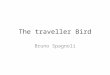 The traveller bird (edited version)