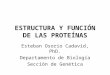 ESTRUCTURA Y FUNCIÓN DE LAS PROTEÍNAS Esteban Osorio Cadavid, PhD. Departamento de Biología Sección de Genética
