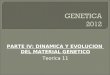 PARTE IV: DINAMICA Y EVOLUCION DEL MATERIAL GENETICO Teorica 11