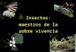 Insectos: maestros de la sobre vivencia. Estrategias de sobrevivencia Mecanismos de defensa Estrategias de alimentación Estrategias de reproducción Mecanismos
