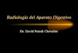 Radiología del Aparato Digestivo Dr. David Prandi Chevalier