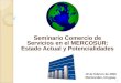 Seminario Comercio de Servicios en el MERCOSUR: Estado Actual y Potencialidades 1 19 de febrero de 2009 Montevideo, Uruguay