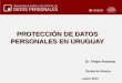PROTECCIÓN DE DATOS PERSONALES EN URUGUAY Dr. Felipe Rotondo Dr. Felipe Rotondo Ciudad de México, enero 2014 Ciudad de México, enero 2014