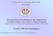 1 Perspectivas Económicas de Argentina Un Enigma Adentro de un Misterio (Marcos Aguinis) Presentación en el Centro de Graduados UCEMA, 31/03/2004 Carlos