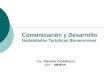 Comunicación y Desarrollo Nodalidades Turísticas Bonaerenses Lic. Daniela Castellucci CIT - UNMDP