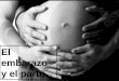 El embarazo y el parto.. El inicio del embarazo. Para que se produzca la fecundación se necesita la unión entre un espermatozoide procedente del hombre