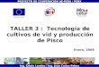 TALLER 3 : Tecnología de cultivos de vid y producción de Pisco Enero, 2009 PROYECTO DE COOPERACIÓN UE-PERU / PENX Ing. Edwin Landeo / Ing. Juan Carlos