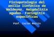 Fisiopatología del anillo linfático de Waldeyer. Amigdalitis agudas. Faringitis especificas Prof. Carlos Martín