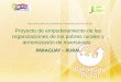 Proyecto de empoderamiento de las organizaciones de los pobres rurales y armonización de inversiones PARAGUAY – RURAL DIRECCION NACIONAL DE COORDINACION