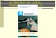 ARTROSCOPIA DE CADERA: equipamiento y portales Dr. Juan D. Ayala Mejías Jueves 13 de Diciembre de 2007
