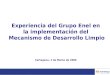 Experiencia del Grupo Enel en la implementación del Mecanismo de Desarrollo Limpio Cartagena, 2 de Marzo de 2006