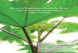 Castor Oil Report Preview eBook