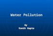 Evs Project Water Pollution