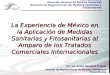 1 La Experiencia de México en la Aplicación de Medidas Sanitarias y Fitosanitarias al Amparo de los Tratados Comerciales Internacionales Subsecretaría