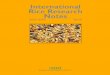International Rice Research Notes Vol.21 No.1