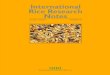 International Rice Research Notes Vol.19 No.4