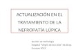 ACTUALIZACIÓN EN EL TRATAMIENTO DE LA NEFROPATÍA LÚPICA Sección de Nefrología Hospital Virgen de los Lirios de Alcoy Octubre 2013