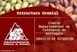 © Copyright FNC año SERVICIO DE EXTENSIÓN Comité Departamental de Cafeteros de Antioquia Estructura Gremial