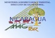 NICARAGUA MINISTERIO AGROPECUARIO Y FORESTAL. DIRECCION DE SALUD ANIMAL