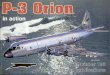 SSP - In Action 193 - P-3 Orion