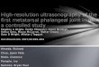 High-Resolution Ultrasonography of the First Metatarsal Phalangeal Joint