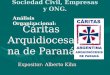 Sociedad Civil, Empresas y ONG. Expositor: Alberto Kihn Cáritas Arquidiocesana de Paraná Análisis Organizacional: