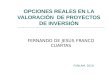 OPCIONES REALES EN LA VALORACIÓN DE PROYECTOS DE INVERSIÓN FERNANDO DE JESÚS FRANCO CUARTAS FUNLAM. 2010