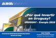¿Por qué Invertir en Uruguay? URUGUAY - Energ í a 2010 Irani Varella Presidente de Petrobras Uruguay Montevideo, 29 de Septiembre de 2010 ASOCIACIÓN DE