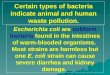 Certain types of bacteria indicate animal and human waste pollution. Escherichia coli are coliform bacteria found in the intestines of warm-blooded organisms