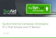 SysAid Internal Campaign Strategies: ITs That Simple and IT Works! Aug. 2009