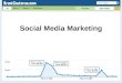 Social Media Marketing. Domain Age On Page Factors LINKS