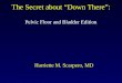 The Secret about Down There: Pelvic Floor and Bladder Edition Harriette M. Scarpero, MD