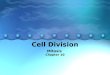 Cell Division Mitosis Chapter 10. Why do cells divide, rather than continually grow forever? The larger a cell becomes, the more demands the cell places