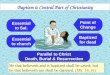 Baptism is Central Part of Christianity Essential to Sal. He that believeth and is baptized shall be saved; but he that believeth not shall be damned