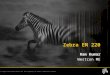 All logos and trade marks are the property of their respective owners Zebra EM 220 Ram Kumar Westcon ME