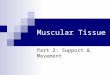 Muscular Tissue Part 2: Support & Movement. Common Traits Proteins Needed: Actin Myosin Four Essential Ions Needed: Calcium Sodium Chloride Potassium