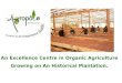 An Excellence Centre in Organic Agriculture Growing on An Historical Plantation