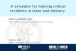 A simulator for training critical incidents in labor and delivery Willem van Meurs, PhD INEB - Instituto de Engenharia Biomédica (Porto, Portugal) Ciência