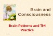 1/8/20141 Brain Patterns and TM Practice Brain and Consciousness