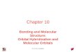 Dr. S. M. Condren Chapter 10 Bonding and Molecular Structure: Orbital Hybridization and Molecular Orbitals