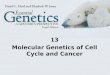 1 13 Molecular Genetics of Cell Cycle and Cancer
