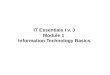1 IT Essentials I v. 3 Module 1 Information Technology Basics
