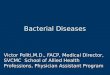 Bacterial Diseases Victor Politi,M.D., FACP, Medical Director, SVCMC School of Allied Health Professions, Physician Assistant Program
