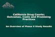 California Drug Courts: Outcomes, Costs and Promising Practices An Overview of Phase II Study Results