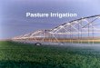 Pasture Irrigation. Irrigated Pastures l Maximum production from irrigated pastures requires timely irrigation and the exclusion of livestock when the