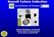 Roscoff Culture Collection Souchothèque de Bretagne Station Biologique de Roscoff Scientist in charge: D. Vaulot (DR1 CNRS) Curator: Florence Le Gall (AI