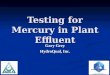Testing for Mercury in Plant Effluent Gary Grey HydroQual, Inc