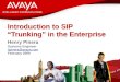 © 2009 Avaya Inc. All rights reserved. Introduction to SIP Trunking in the Enterprise Henry Pinera Systems Engineer hpinera@avaya.com February 2009