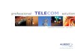 Professional TELECOM solutions Corporate Presentation – Jan 2012